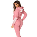Fashion Casual Sweatsuits for Women Two Pice Set Tracksuit Jogging Suit Zipper Long Hoodies Running Sportswear High Street Pant